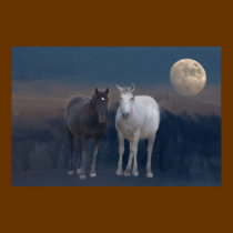 Wild Mustangs of the Night posters