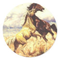 Wild Mustangs sticker