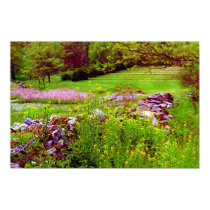 Wild Mustard on Rock Wall posters by dma847 Wild Mustard on Rock Wall posters
