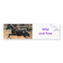 Wild 'n Free bumper stickers by smash929 Wild 'n Free bumper stickers