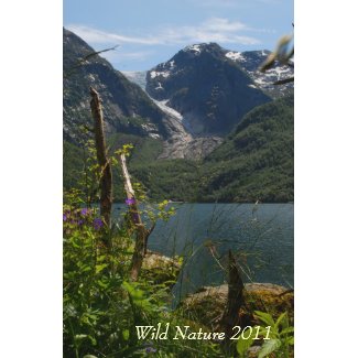 nature calendar 2011