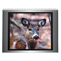 Wild Nature calendars