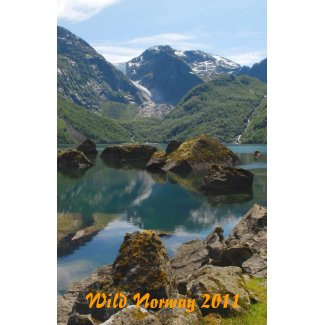 norway calendar 2011
