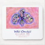wild orchid, abstract orchid, orchid, orchid