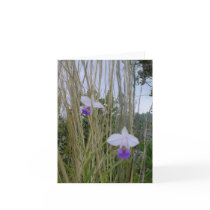 Wild Orchid Notecards, Big Island, Hawaii by claudette50 Wild Orchid Notecards, Big Island, Hawaii