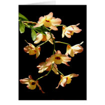 Wild Orchids cards