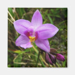 Wild Orchids Magnet