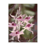 flower, tropical