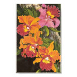 fildesign, orchids