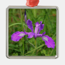 wild Oregon Iris Christmas Ornament