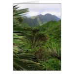 Wild Palm and Ko'olau Mountain Ridge Greeting Card