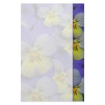 Wild Pansy Writing Paper Stationery Paper