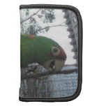 Wild parrot #4 folio planner