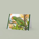 Wild Parrot Birthday Card
