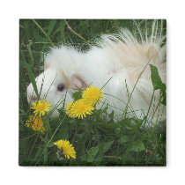 Wild piggy magnets by abrodents Wild piggy magnets