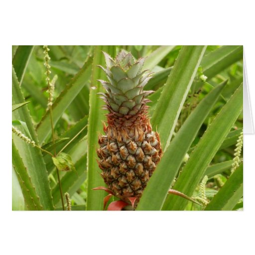 Wild Pineapple Blank Card