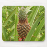 Wild Pineapple Mousepad