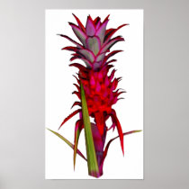 Wild Pineapple Posters