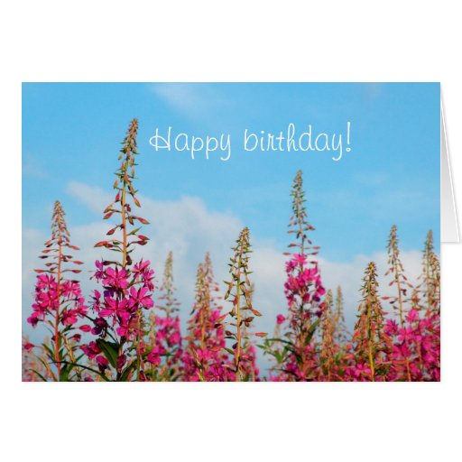 List 91+ Pictures Happy Birthday Wild Flowers Images Latest