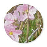 Wild Pink Hibiscus in Salt Marsh Items Refrigerator Magnets