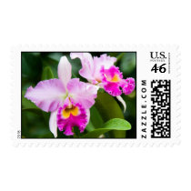 Wild Pink Orchid postage