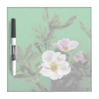 wild pink rose flowers in green. dry erase whiteboards