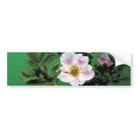 wild pink rose flowers in green, Elegant Bumper Stickers