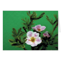 wild pink rose flowers in green, Elegant Card