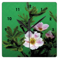 wild pink rose flowers in green, Elegant Square Wall Clocks