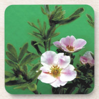 wild pink rose flowers in green, Elegant Coasters