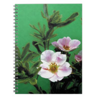 wild pink rose flowers in green, Elegant Spiral Note Books