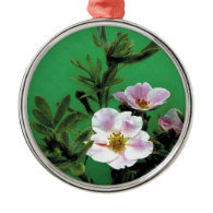 wild pink rose flowers in green, Elegant Ornaments