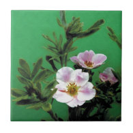 wild pink rose flowers in green, Elegant Ceramic Tile