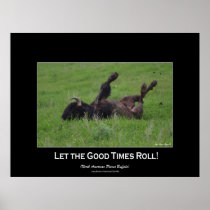 Wild Plains Bufffalo Rolling Wildlife Poster