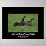 Wild Plains Bufffalo Rolling Wildlife (small size) posters