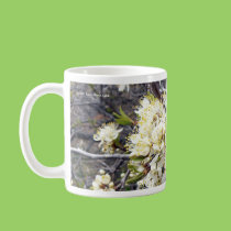 Wild Plum mugs