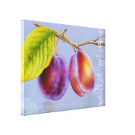 Wild plum - Prunus domestica canvas art mauve wrappedcanvas