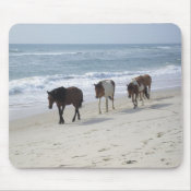 Wild Ponies on Assateague Island mousepad