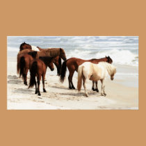 Wild Ponies Poster posters