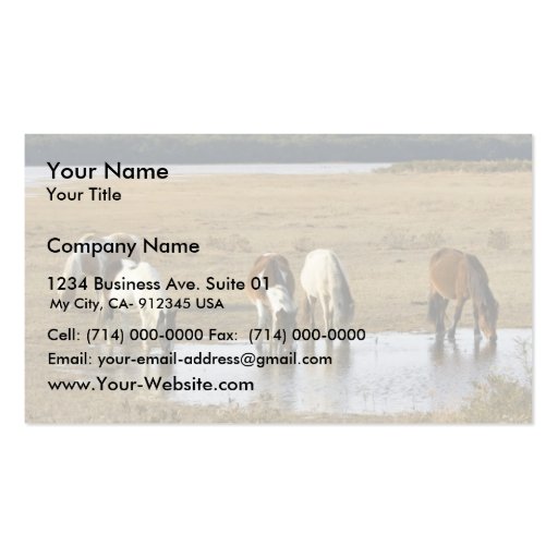 Wild pony business card (front side)