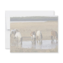 Wild pony invitations