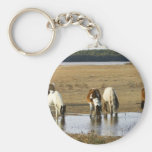 Wild pony key chain