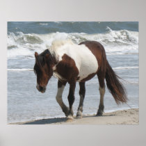 Wild Pony Poster Print posters