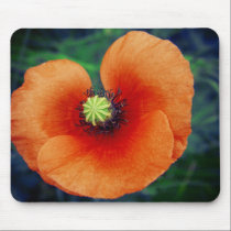 Wild Poppy Macro Photography Mousepad mousepads
