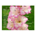 wild-poppy postcards
