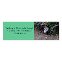 Wild Possum, Bookmark business cards
