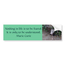 Wild Possum bumper stickers by SeaAngel Wild Possum bumper stickers