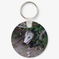Wild Possum keychains