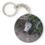 Wild Possum keychains