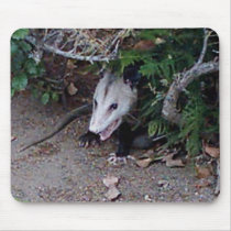 Wild Possum mousepads